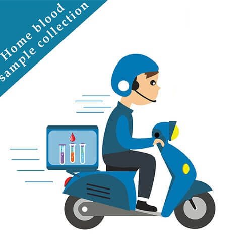 Home blood sample collection Chandanagar Hyderabad Vivid Diagnostics