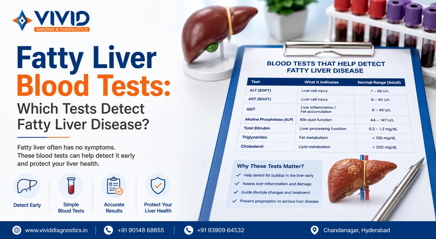 Fatty Liver Blood Tests Which Tests Detect Fatty Liver Disease